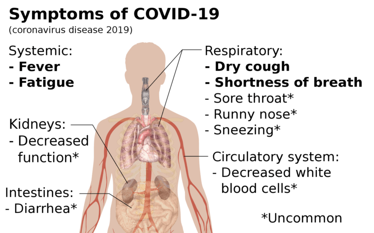 Symptoms of coronavirus disease 20191 | Technea.gr - Χρήσιμα νέα τεχνολογίας