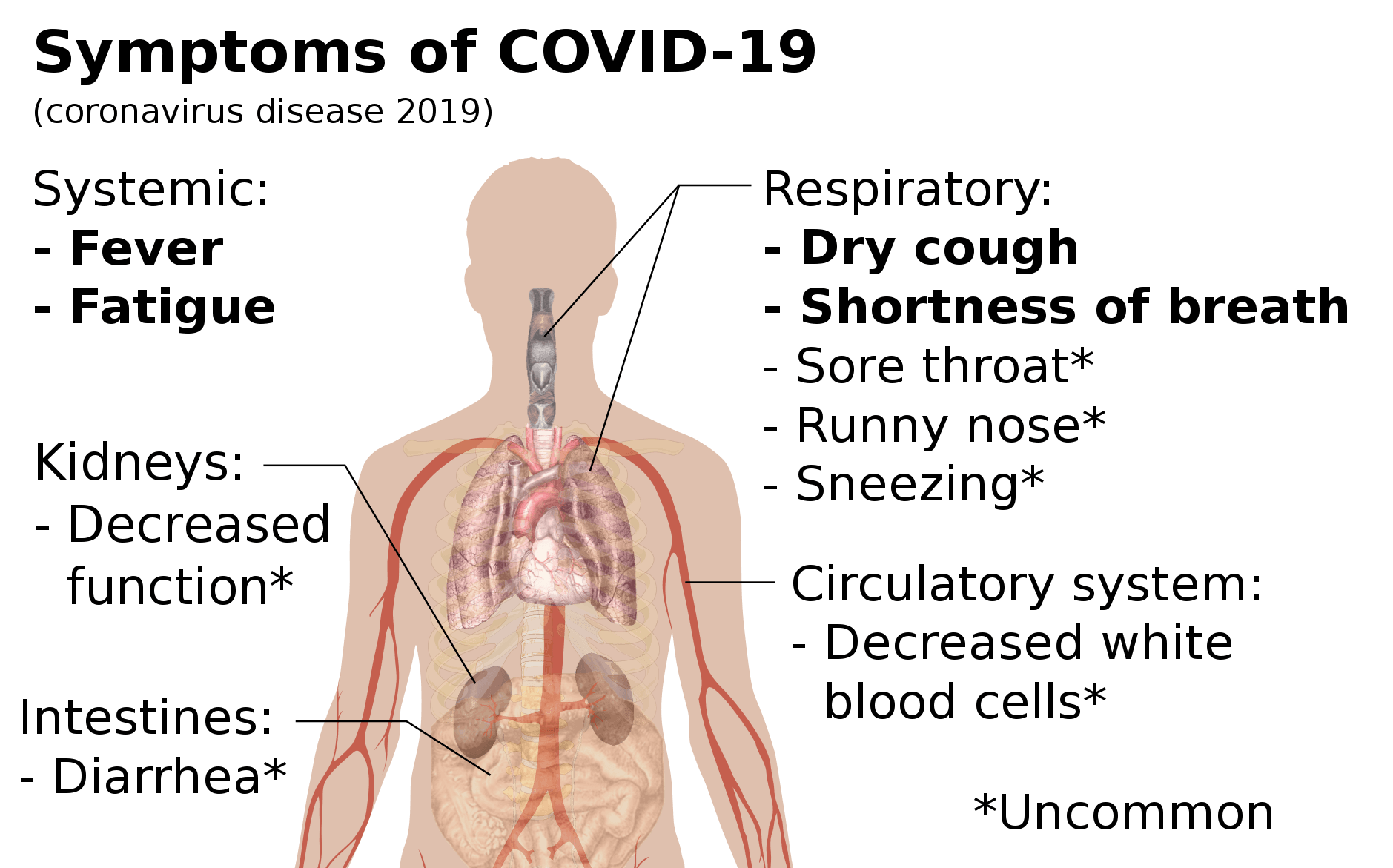 Symptoms of coronavirus disease 20191 | Technea.gr - Χρήσιμα νέα τεχνολογίας