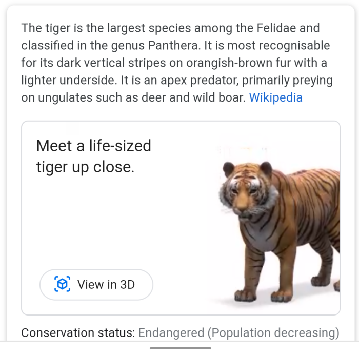 google ar animals 3d tiger 1 e15854262815271 | Technea.gr - Χρήσιμα νέα τεχνολογίας